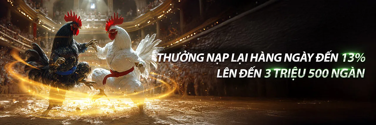 Hình ảnh chính trang đăng nhập nn888 casino